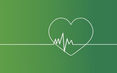 Est-ce que le CBD accélère le rythme cardiaque ?